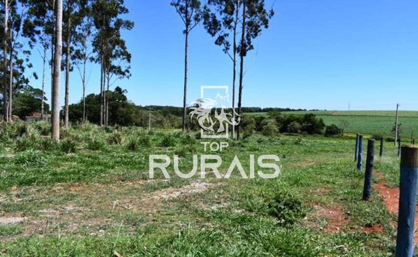 Fazenda à venda com 58 alqueires na região de Tietê-SP.