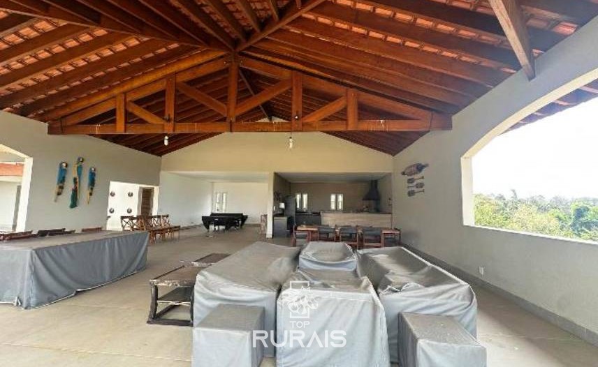 Haras formado na região de Tatui-SP.