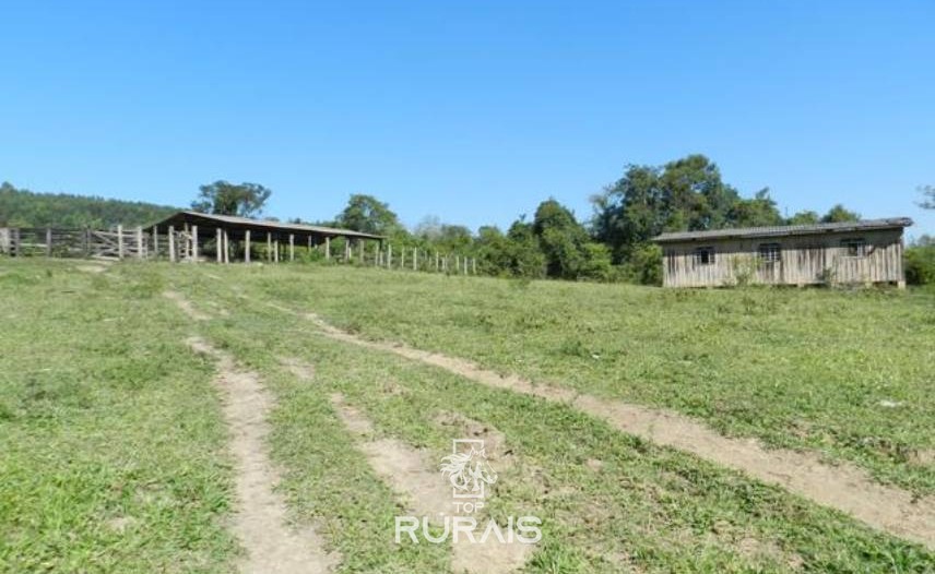 Sítio à venda em Tietê-SP, com 21,5 alqueires .
