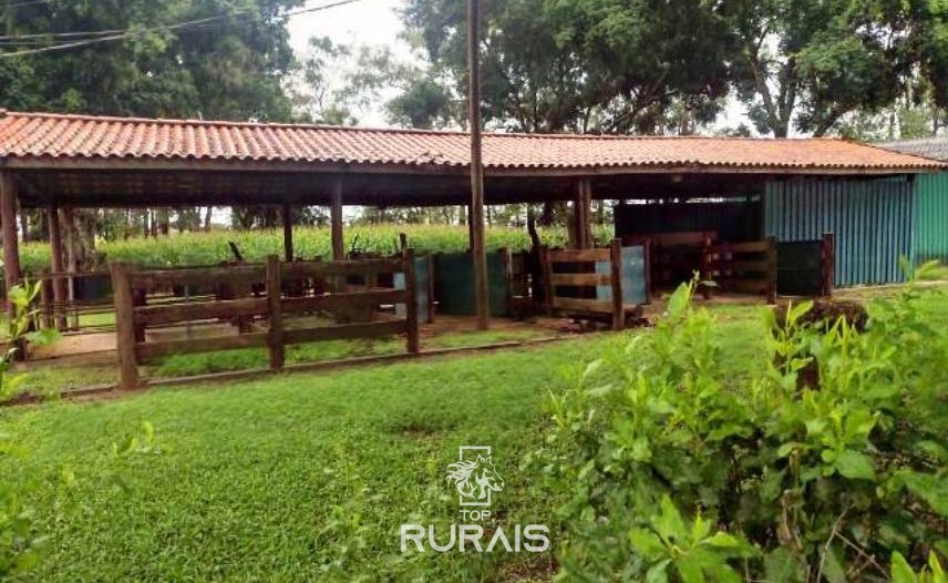 Fazenda à venda na região de Itapetininga.