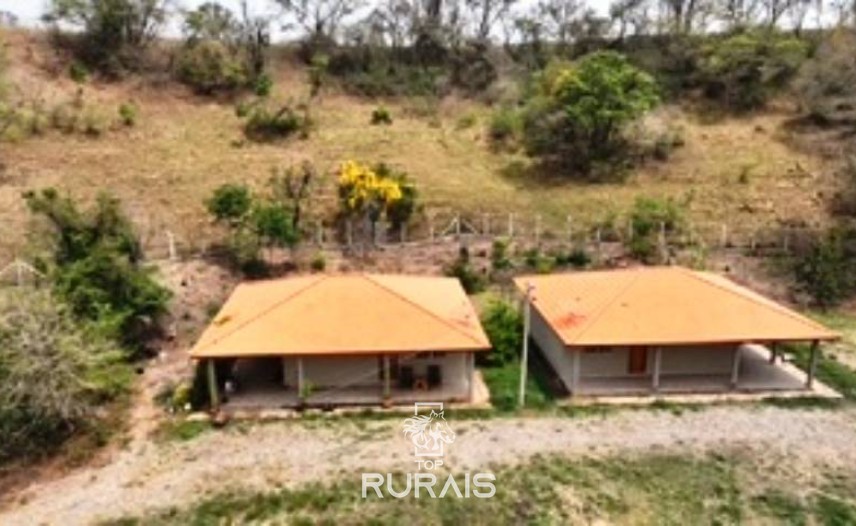 Haras formado na região de Tatui-SP.