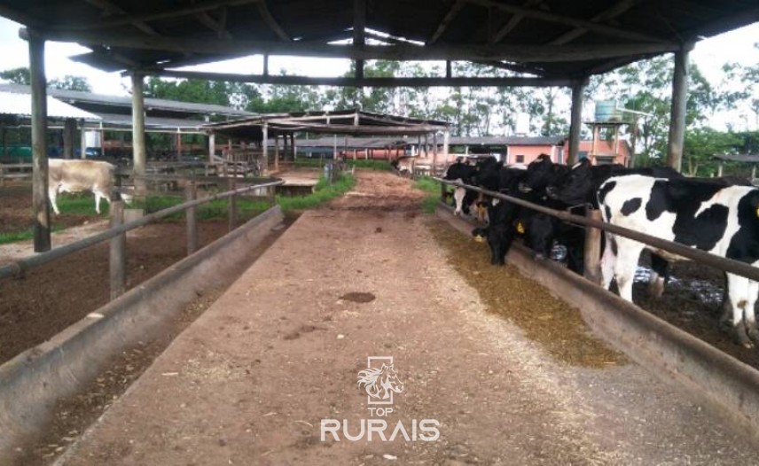Fazenda à venda na região de Itapetininga.