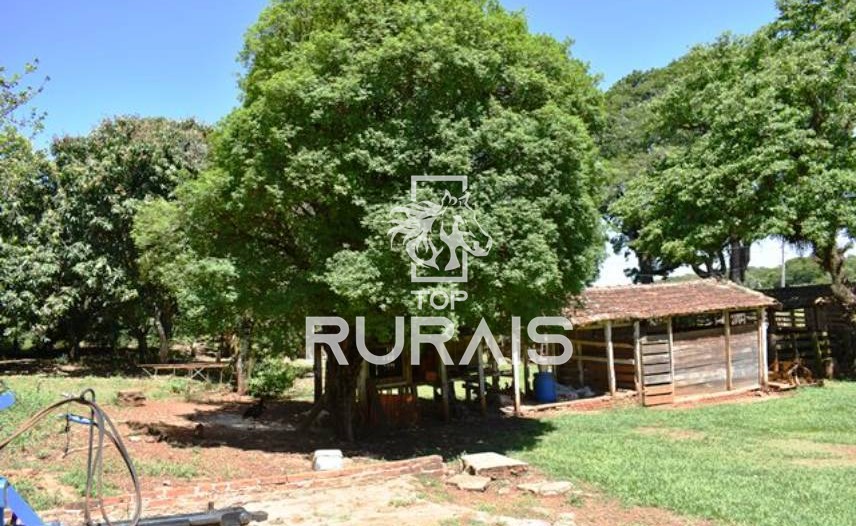 Fazenda à venda com 58 alqueires na região de Tietê-SP.
