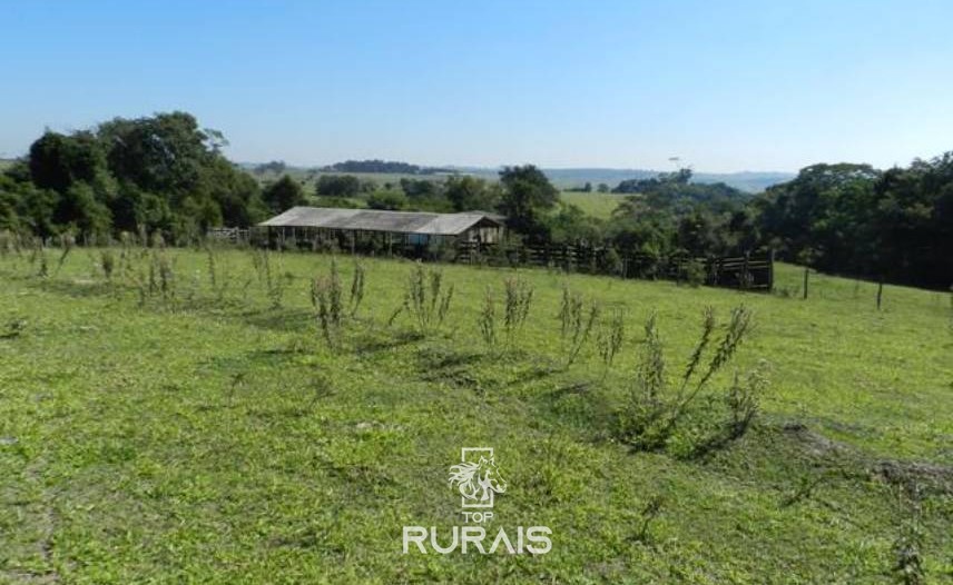 Sítio à venda em Tietê-SP, com 21,5 alqueires .