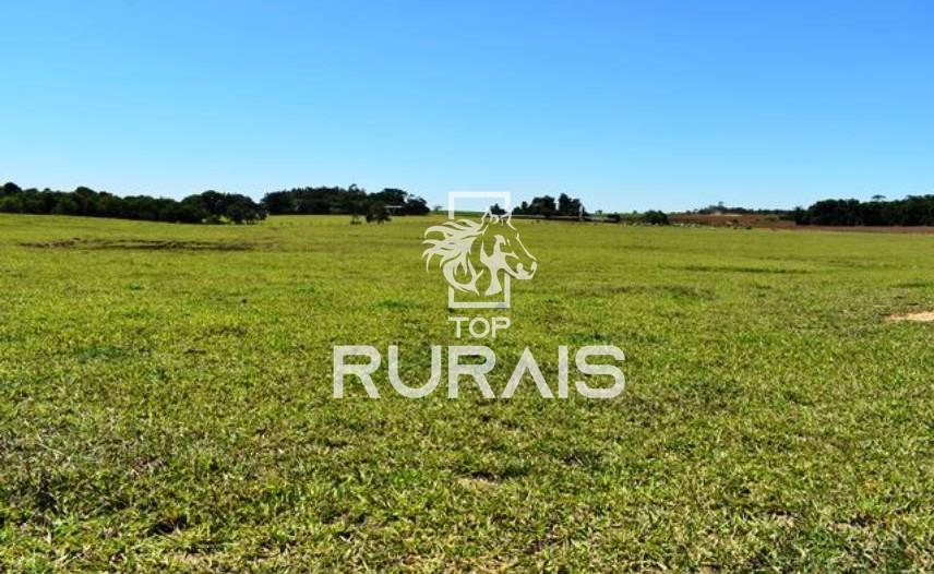 Fazenda à venda com 58 alqueires na região de Tietê-SP.
