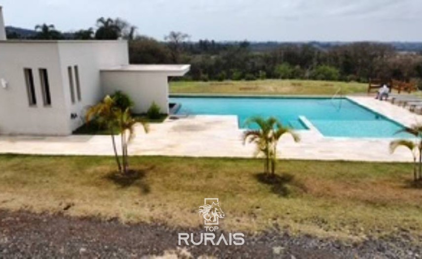 Haras formado na região de Tatui-SP.