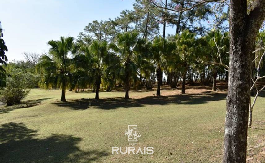 Haras à venda em Porto Feliz-SP.