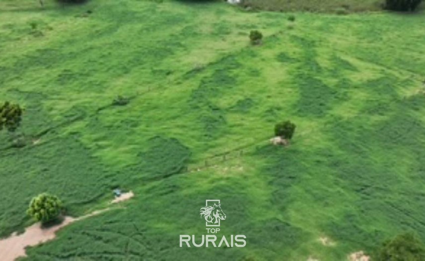 Haras formado á venda em Itatiba-SP