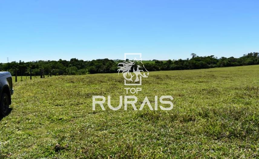 Fazenda à venda com 58 alqueires na região de Tietê-SP.