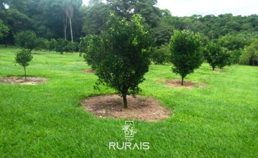 Fazenda à venda na região de Itapetininga.