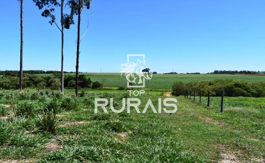 Fazenda à venda com 58 alqueires na região de Tietê-SP.