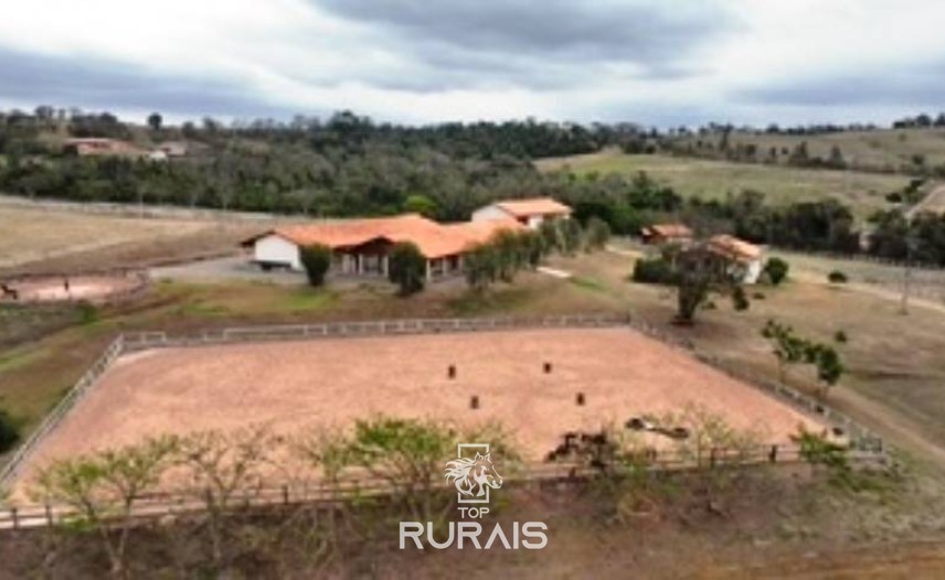 Haras formado na região de Tatui-SP.
