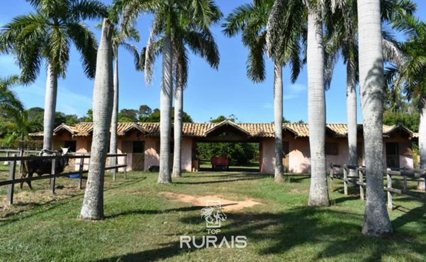 Sitio/haras á venda em Porto Feliz-SP.