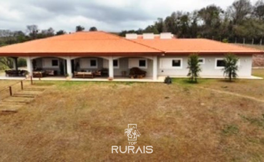 Haras formado na região de Tatui-SP.