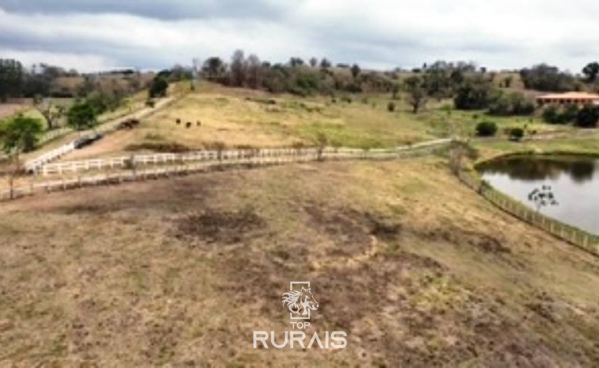 Haras formado na região de Tatui-SP.