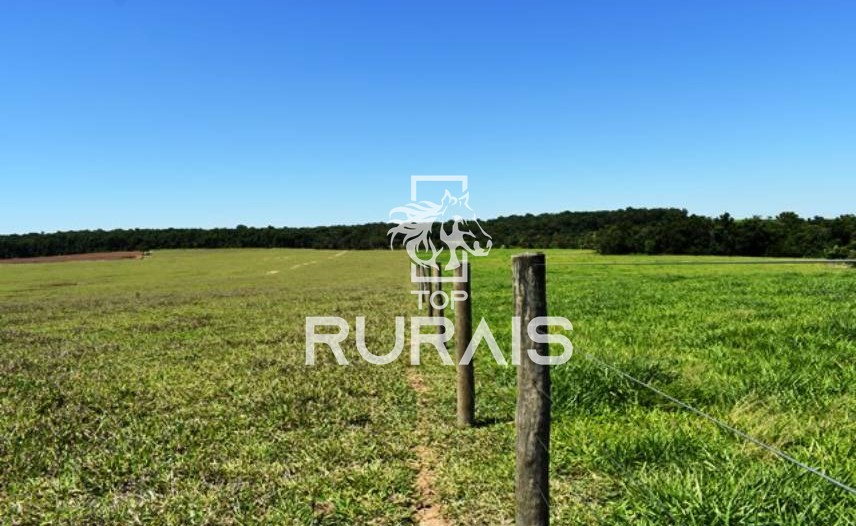 Fazenda à venda com 58 alqueires na região de Tietê-SP.
