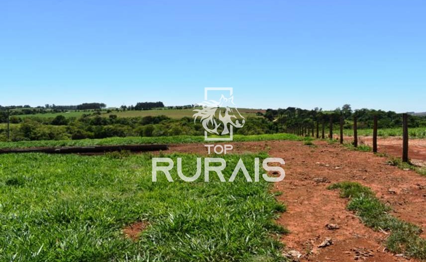 Fazenda à venda com 58 alqueires na região de Tietê-SP.