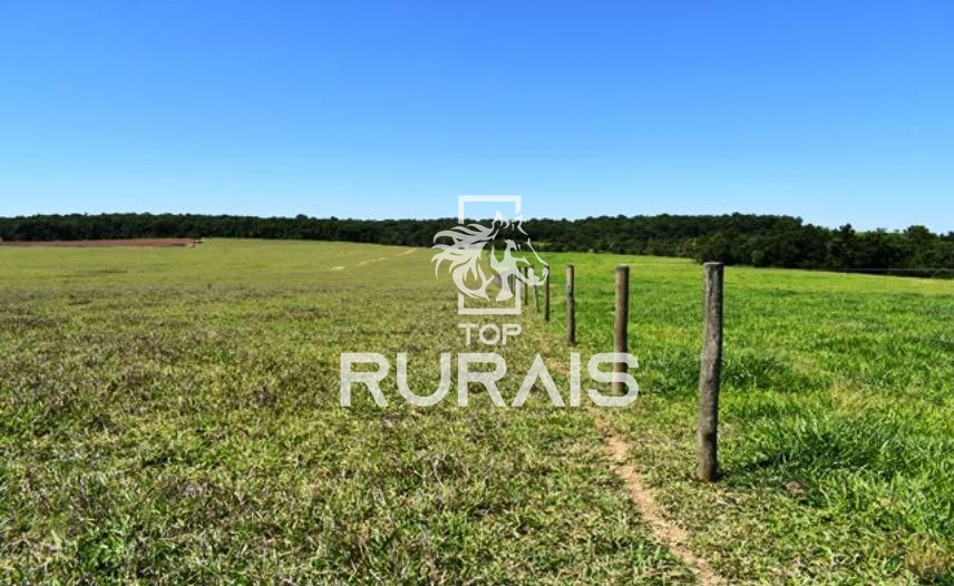 Fazenda à venda com 58 alqueires na região de Tietê-SP.