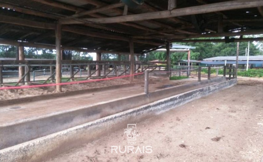 Fazenda à venda na região de Itapetininga.