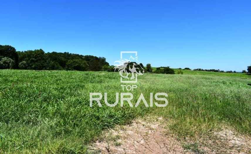 Fazenda à venda com 58 alqueires na região de Tietê-SP.