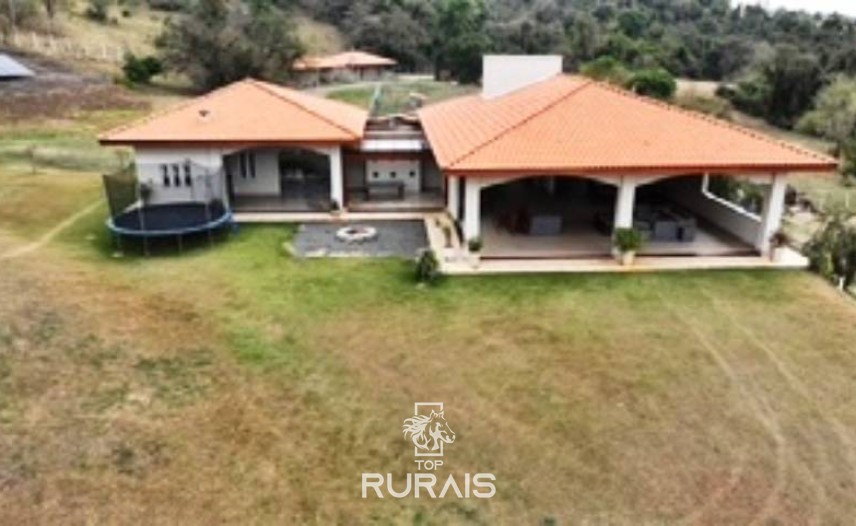 Haras formado na região de Tatui-SP.