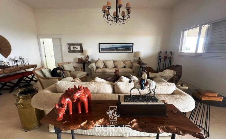 Haras formado na região de Tatui-SP.