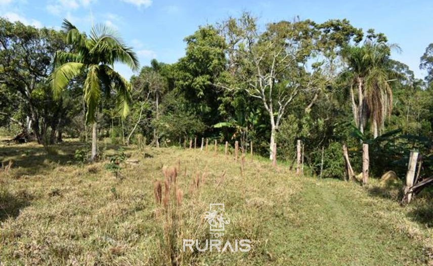 Fazenda com 35 alqueires à venda em Itu-SP,