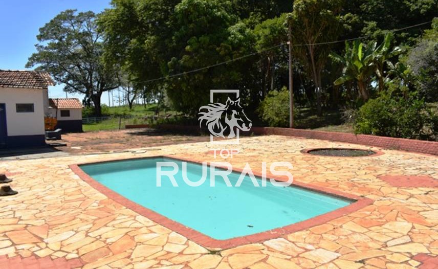 Fazenda à venda com 58 alqueires na região de Tietê-SP.