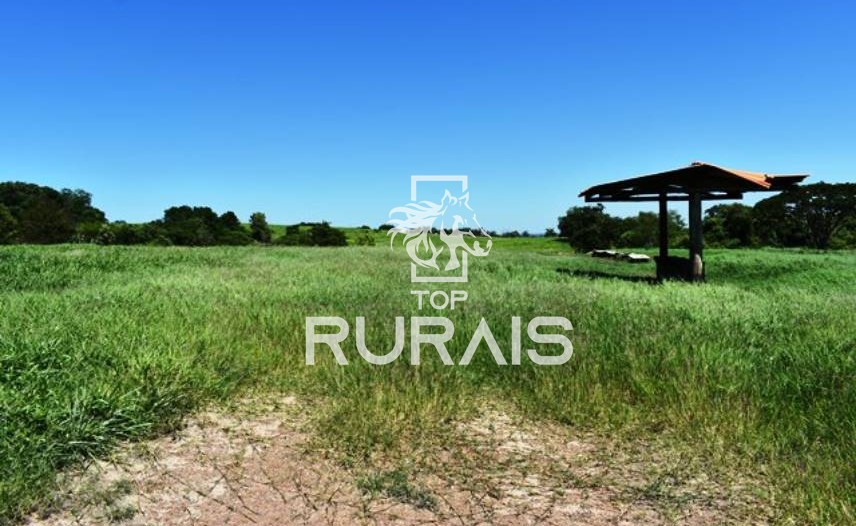 Fazenda à venda com 58 alqueires na região de Tietê-SP.