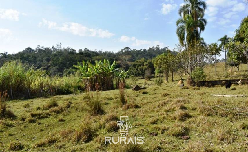 Fazenda com 35 alqueires à venda em Itu-SP,