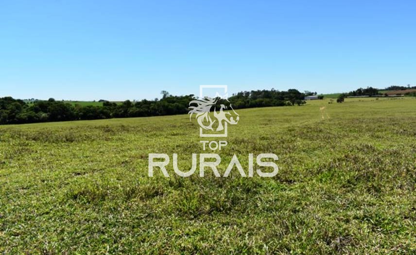 Fazenda à venda com 58 alqueires na região de Tietê-SP.