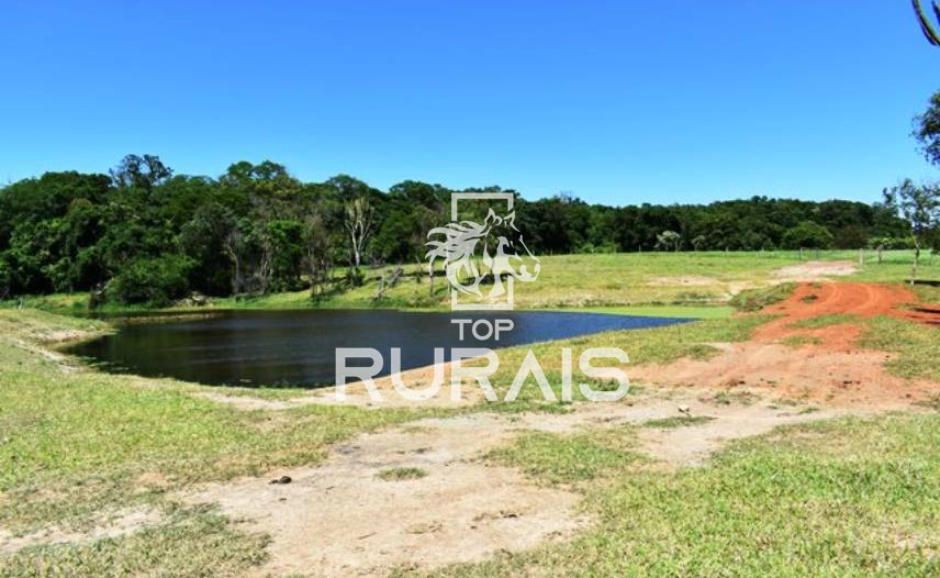 Fazenda à venda com 58 alqueires na região de Tietê-SP.