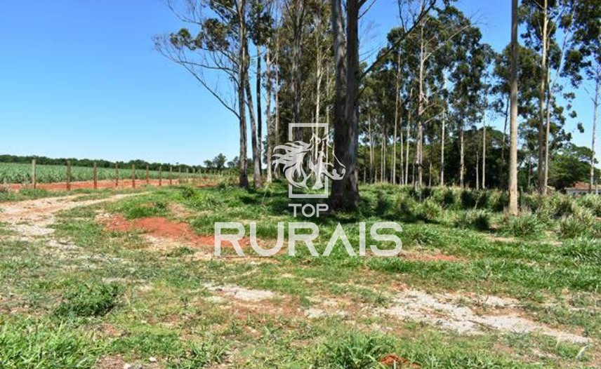Fazenda à venda com 58 alqueires na região de Tietê-SP.