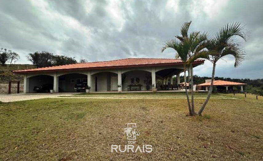 Haras formado na região de Tatui-SP.