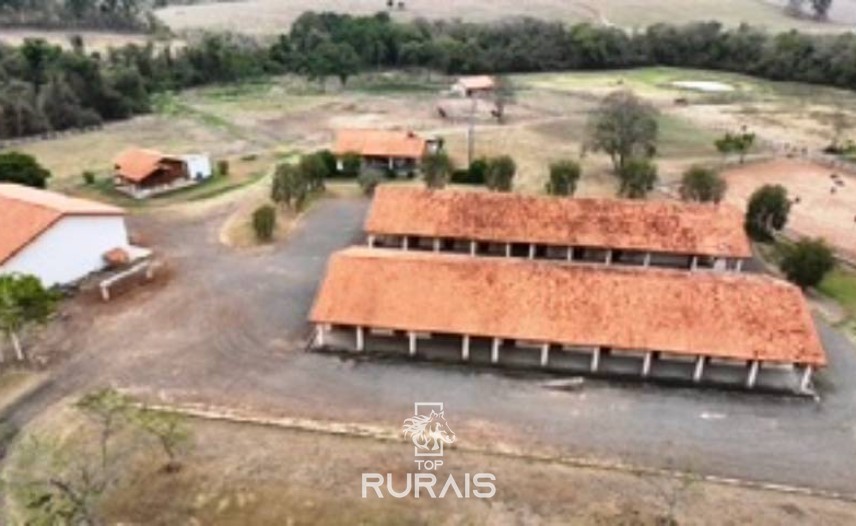 Haras formado na região de Tatui-SP.