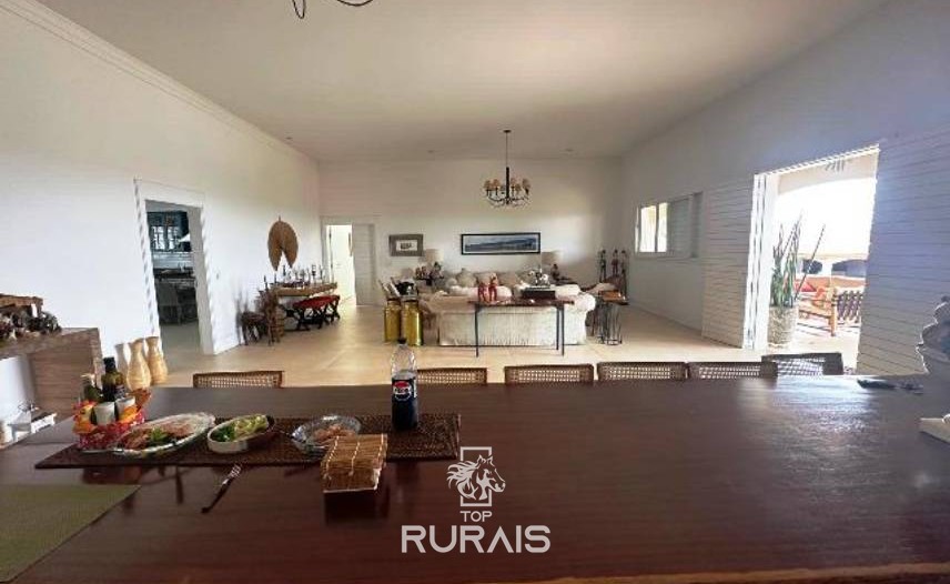 Haras formado na região de Tatui-SP.