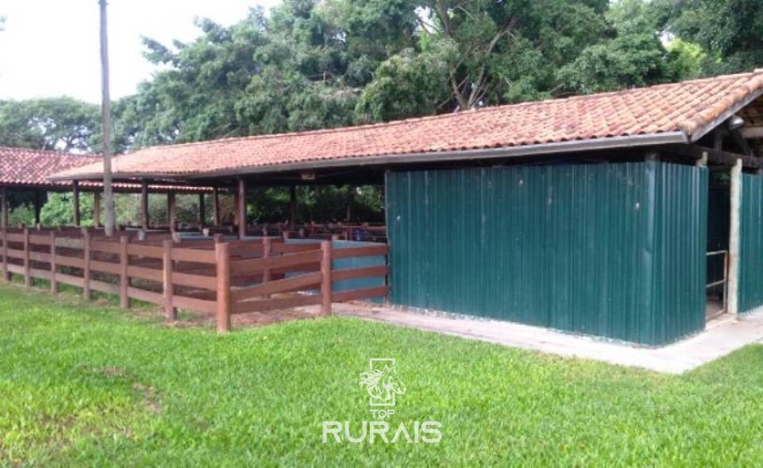 Fazenda à venda na região de Itapetininga.