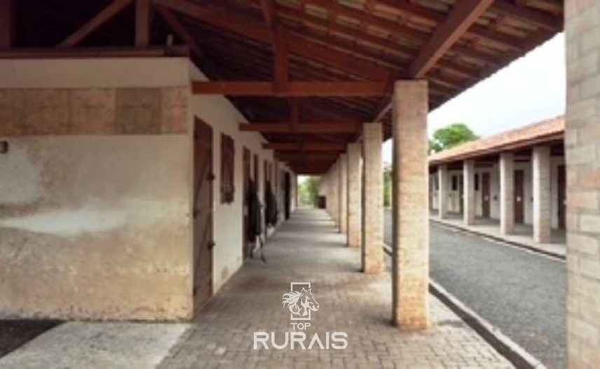 Haras formado na região de Tatui-SP.