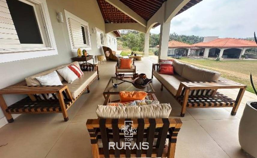 Haras formado na região de Tatui-SP.