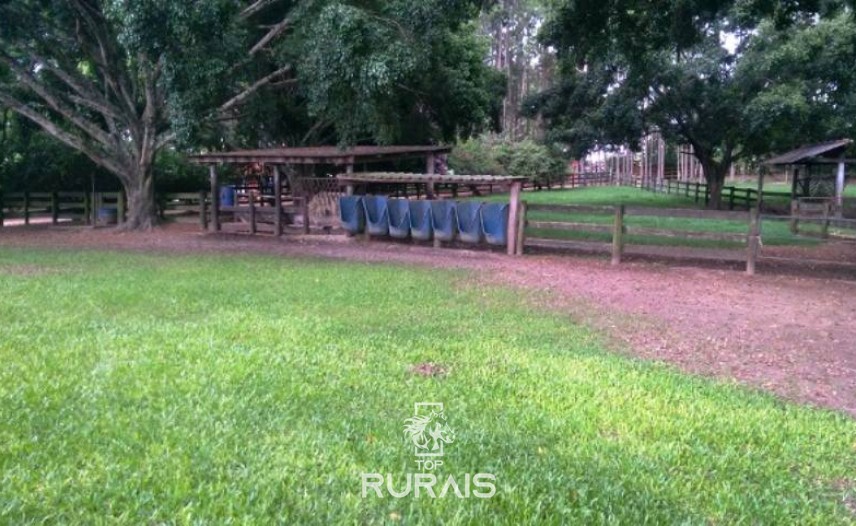 Fazenda à venda na região de Itapetininga.