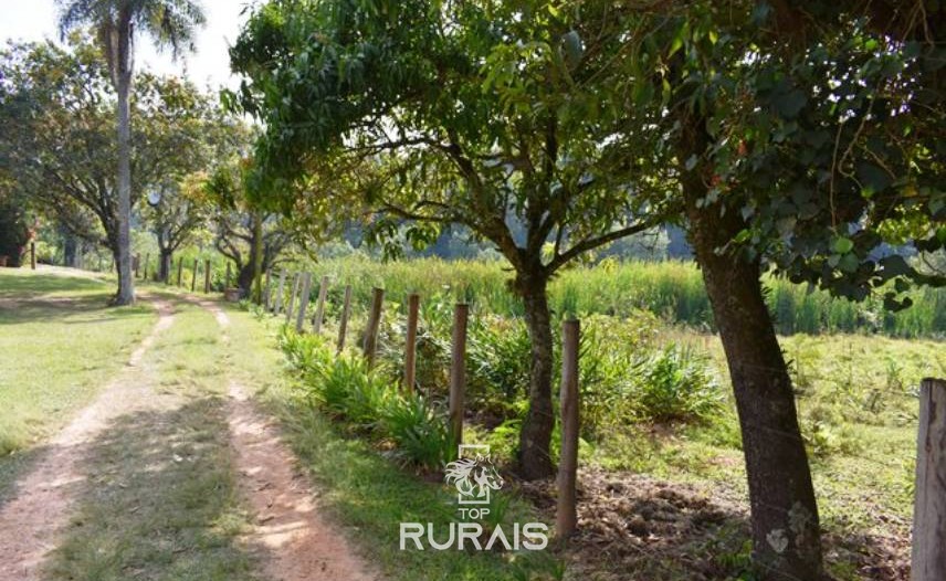 Fazenda com 35 alqueires à venda em Itu-SP,