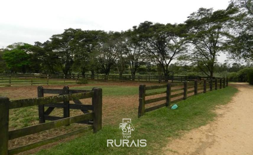 Haras formado à venda em Boituva-SP.