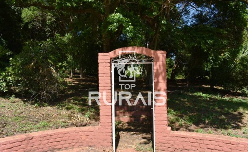 Fazenda à venda com 58 alqueires na região de Tietê-SP.