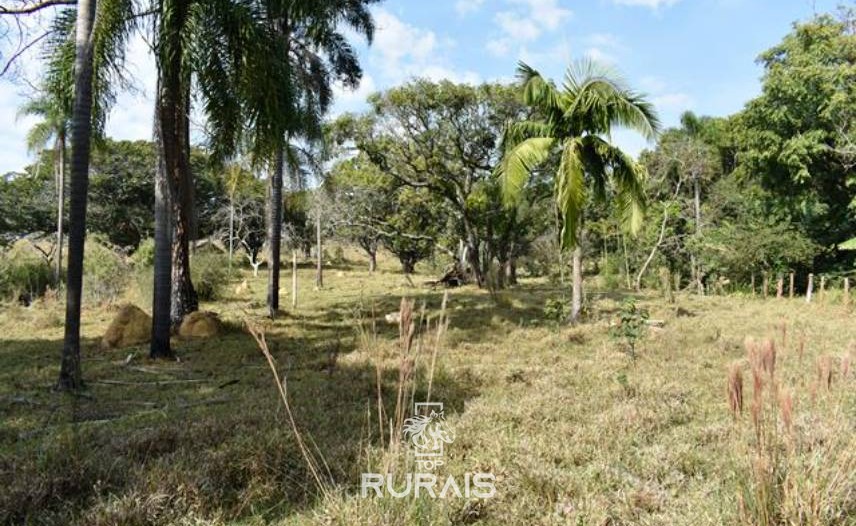 Fazenda com 35 alqueires à venda em Itu-SP,