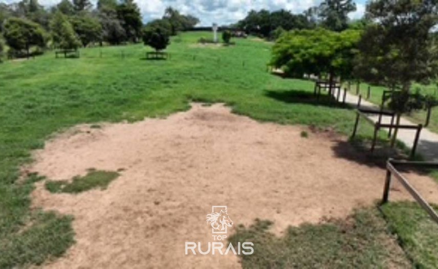 Haras formado á venda em Itatiba-SP