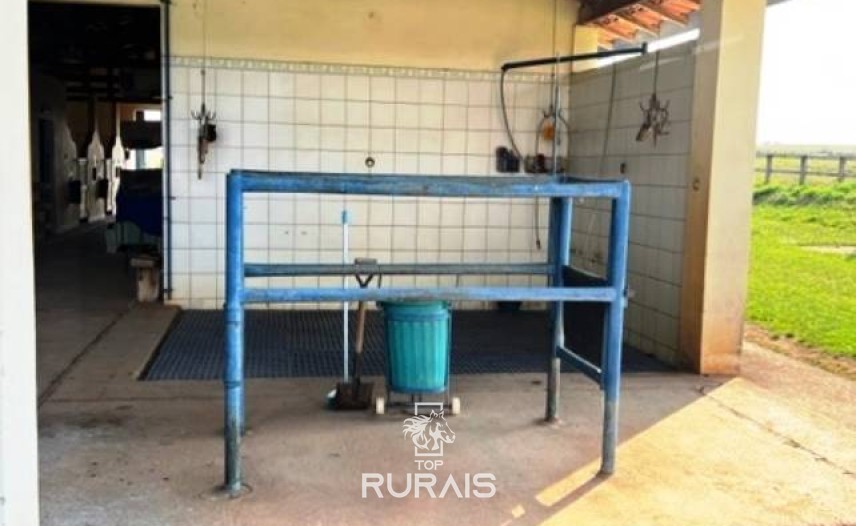 Haras à venda na região de Sorocaba com 15 alqueires.