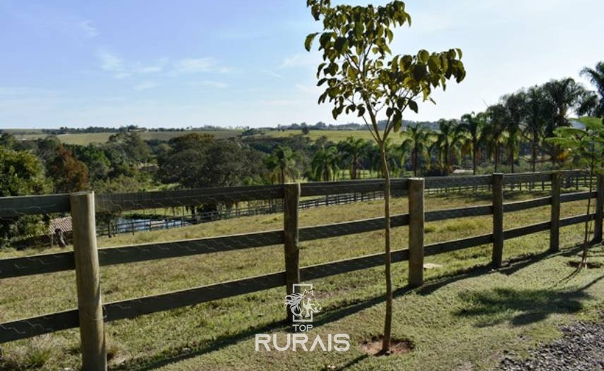 Haras à venda em Porto Feliz-SP.