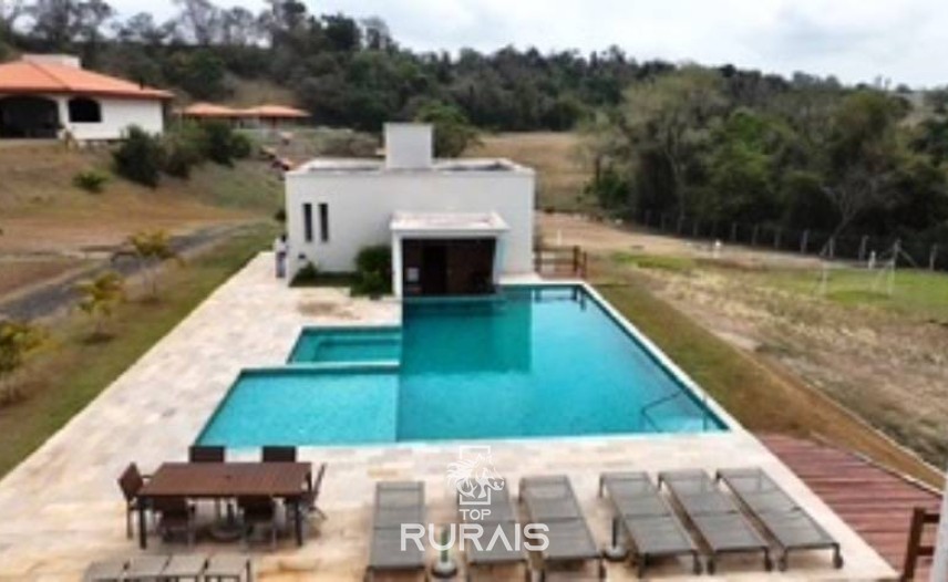 Haras formado na região de Tatui-SP.