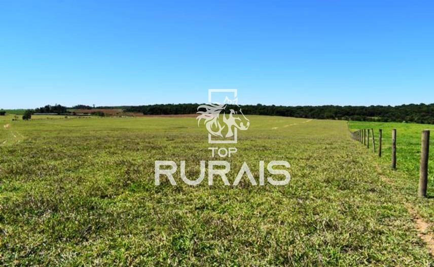 Fazenda à venda com 58 alqueires na região de Tietê-SP.