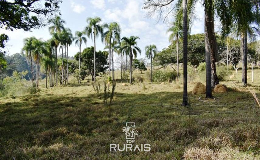 Fazenda com 35 alqueires à venda em Itu-SP,